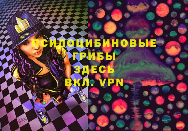 ешки Алексин