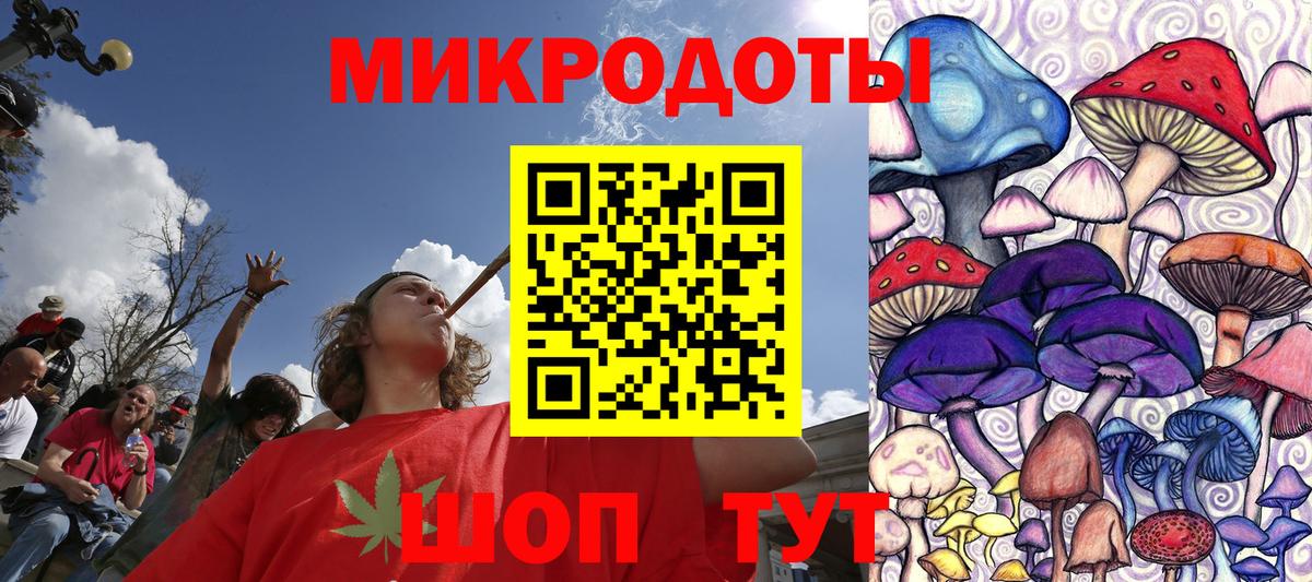 Сокол  Галлюциногенные грибы Psilocybine cubensis  Вход с VPN 